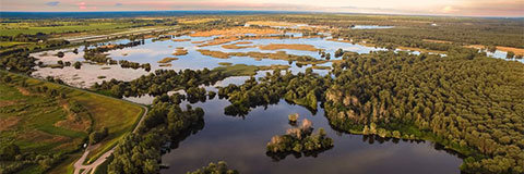 Kopački Rit National Park